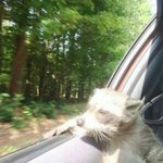 [드루와] <b>미대</b> 반수 해본사람....