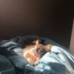 <b>확률</b>과 통계 많이 어려운거야.??