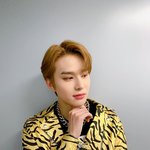 [NCT즌] 강쥐 이 <b>포즈</b> 자주하네