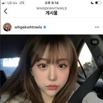 [댓글부탁해] <b>조두</b>팔 턱 갑자기 왜 이렇게 된거야?