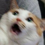 얘 <b>레즈</b> 맞는거같지
