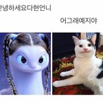 [댓글부탁해] 더 매끄러운 <b>문장</b> 추반 좀