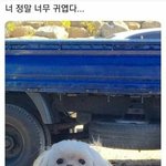 [댓글부탁해] 판녀들 <b>시골</b>여자처럼 예쁘다는 게 무슨 뜻이야??