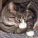 [댓글부탁해] 얘들아 골라조 ㅜㅜ 지금 스카갈까 아님 <b>자고</b> 스카갈까