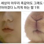 모아깅들 <b>방황</b>하지말고 팬톡오세요~