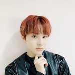 [NCT즌] <b>이</b> <b>강아지</b>야