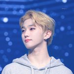 [골든차일드] <b>To</b>. 주차니 두피