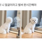 시험 끝나고 뭐 할지 추천해주고가