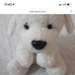 [이것좀봐줘] 이 사진 <b>인형</b> 가지고 있는사람 댓에 사진 보여줘 ㅠㅠ