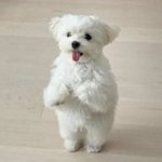 [드루와] 덕질에 미쳐서 재수망한썰