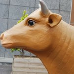 무쌍 쌍수 가능성 있냐ㅜㅜㅜ