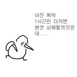 얘들아 너네 내 상황이면 입시 어떻게 할거야