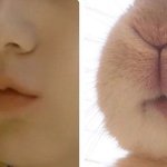 [모두드루와] 와 투바투 최수빈..