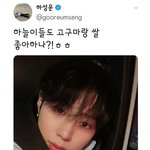 지인들한테 구황 <b>작물</b> 나눠주고 다니는 남돌