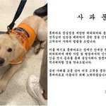 롯데마트 안내견 <b>출입</b> 거부 사과에도 불매 선언 후폭풍