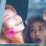 <b>존재</b> <b>자체</b>가 완전 사랑둥이 아니냥?