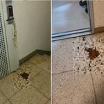 [이것좀봐줘] “아파트 현관문 앞에 똥<b>테러</b> 당했습니다”