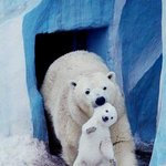 [댓글부탁해] 얘들아 생각보다 9등급 받기 어려움