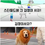 [강아지] 난생처음 이상한 나라, 스타필드에 도착한 겁쟁이 사자...