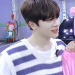 트레저 팬 잇냐