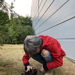 [NCT] 고양이가 <b>태용</b>이 손가락 잡았어