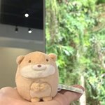 나 입툭 심한거 맞지