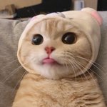 [드루와] 나만 <b>세월</b> 빨리간다고 느낌?