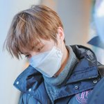 아이돌 민초단 누구있어