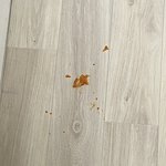 [드루와] 나 아까 <b>엽떡</b>쓰니인데ㅋㅋ 이거라도 먹을래? ㅋㅋ