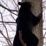 [NCT즌] 동혀가 발밑 <b>조심</b>해