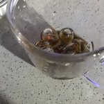 [NCT즌] ㅅㄷ 뿌<b>링클</b> 다목는법 좀 제발