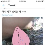 [19] <b>트위터</b>하는 애들아 너네 이거 <b>봄</b>?