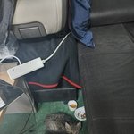 울 아빠 일하는 곳에 길고양이 <b>드러</b>옴ㅠ