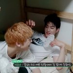 <b>서강준</b> 쓰다듬는거 개웃기네