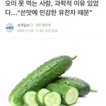 <b>오이</b> 혐오 유전자