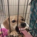 우리 <b>재현님</b>