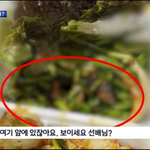 배달음식안에 살아있는 쥐가 충격 실검1위