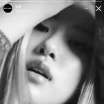 [이것좀봐줘] 로제 다섯 번째 생로랑 캠페인