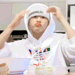 세븐틴 호시에 대한 <b>캐럿</b>들의 생각