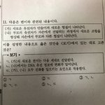 고1 <b>유전</b> 잘 아는 애들아 이거 혹시 4번이니