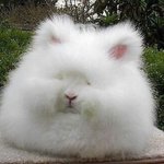 [댓글부탁해] 친구/커플사이 <b>더치</b> 어케 생각해