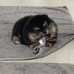인스타 <b>아디</b> 잘지어쥬는애있냐