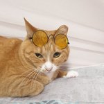 엄마에게 피싱전화가 왔습니다...
