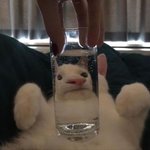 [댓글부탁해] 엄마 생신 선물로 맥 <b>루비</b>우 ㅇㄸ