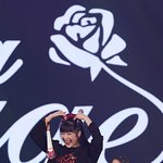 조이 이짤 넘 귀여운거아냐?ㅋㅋ