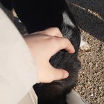 나 고1인데 <b>내신</b> 놨거든