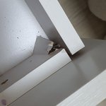 [꼭조언부탁] 원래 가구는 1년 안에 유상 1년 뒤에 <b>as</b> 불가인가요?