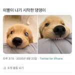 윙가르디움 <b>레비</b>오사