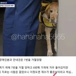 이거 <b>조나</b> 속상하지 않냐