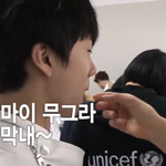 [NCT즌] <b>햄찌</b>를 열심히 키운 결과